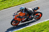 Lower Group Orange Bikes
